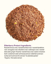 Load image into Gallery viewer, Elderberry Protect