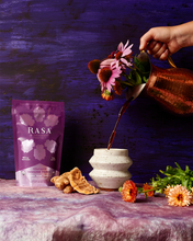 Load image into Gallery viewer, Elderberry Protect